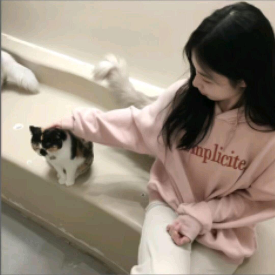 丹哥来了