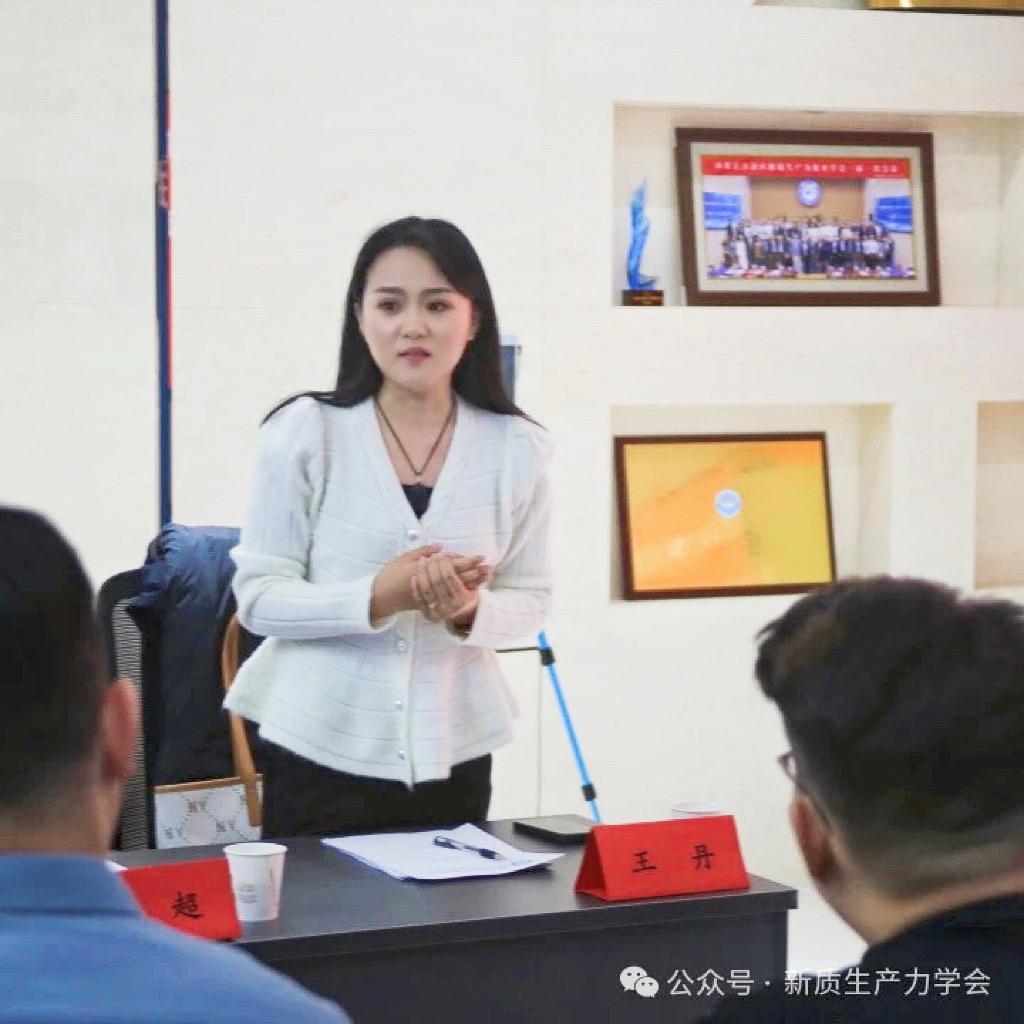 泛微王丹IT应用