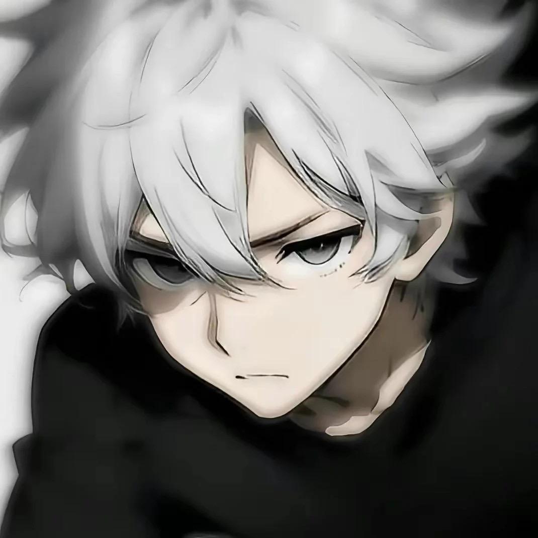 王者荣耀陈平安（野射百段）