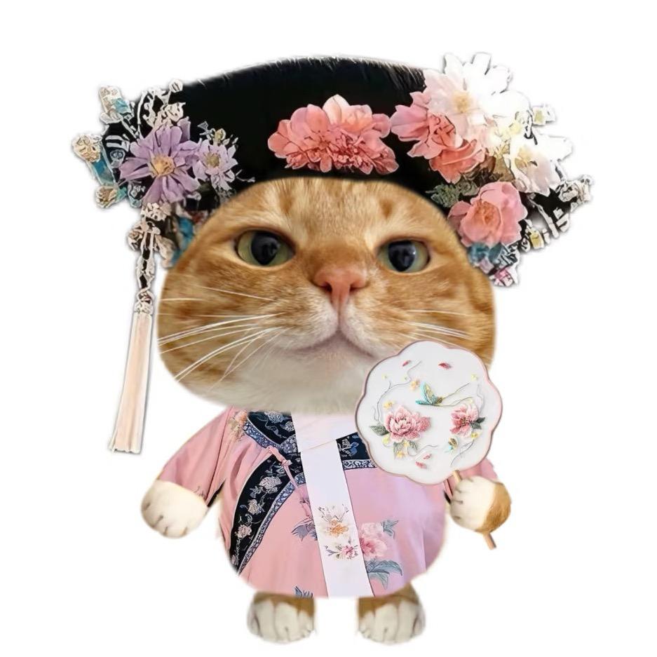 赵财猫🌈