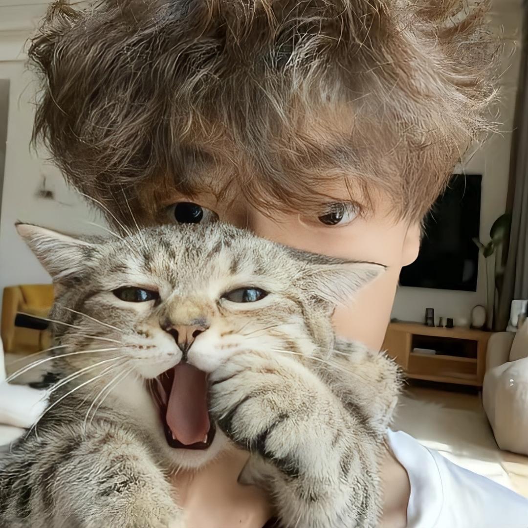 ㅤㅤㅤㅤㅤㅤ 浩Hao.