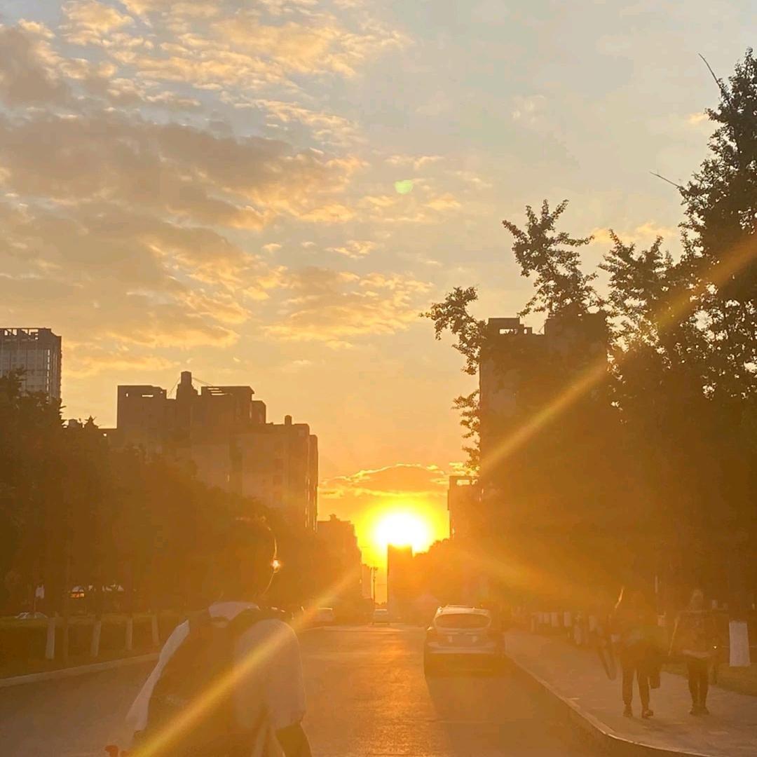 鸿琪文言