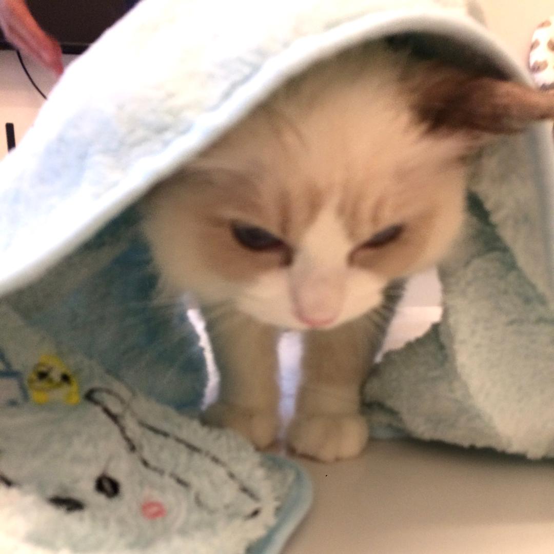 甜辣大王