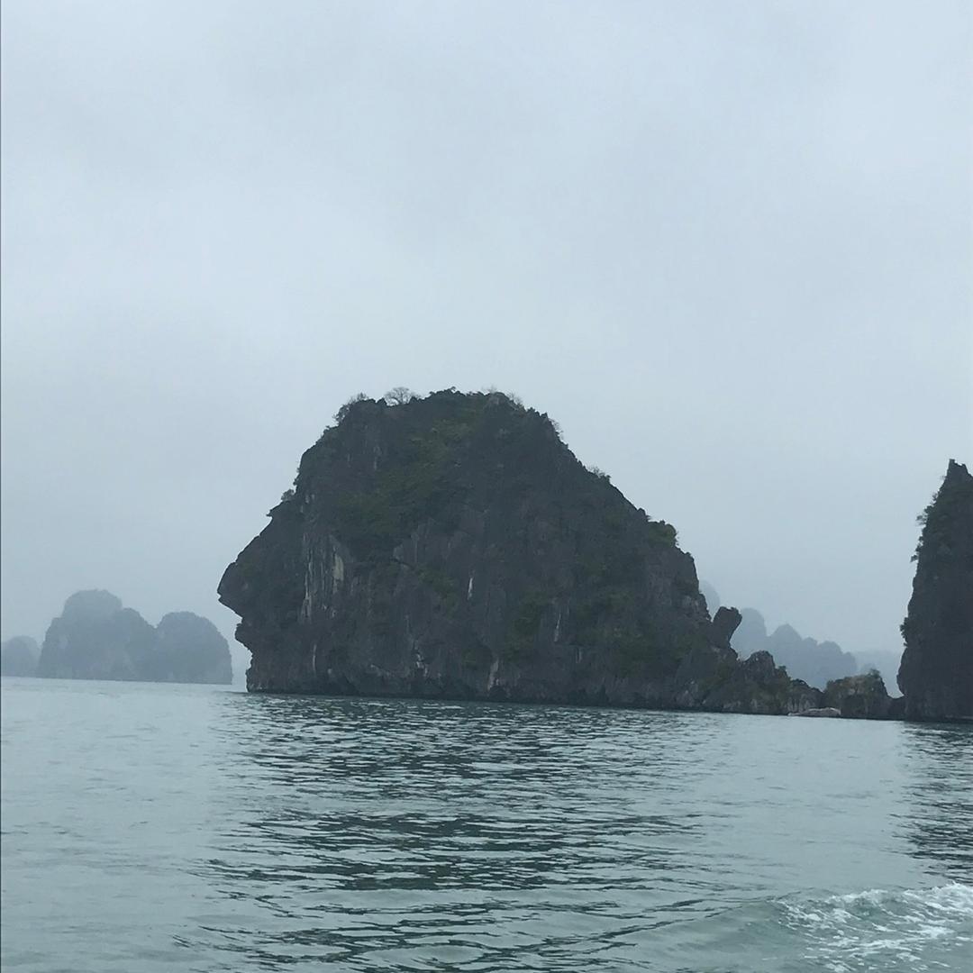 开心😃每一天