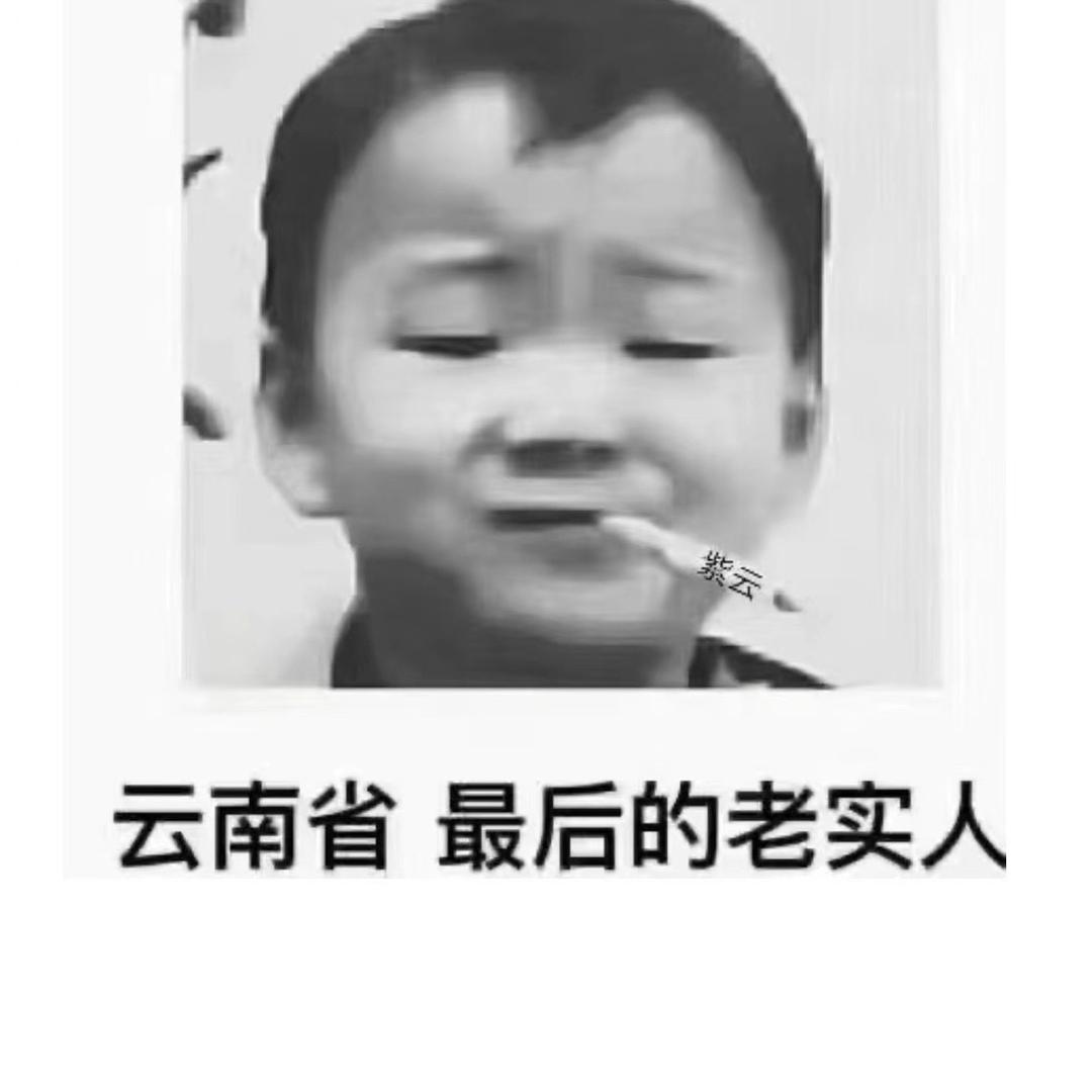 滇龙