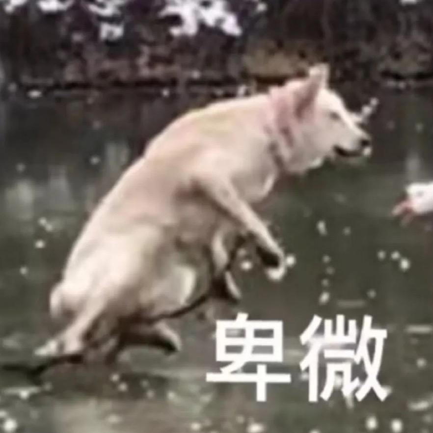 ヽ逢场作戏 。💋