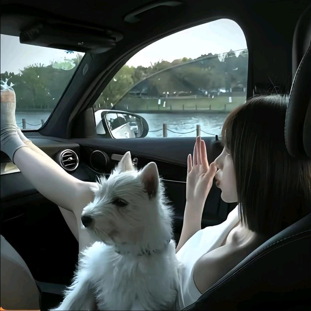 有点甜甜甜甜甜甜