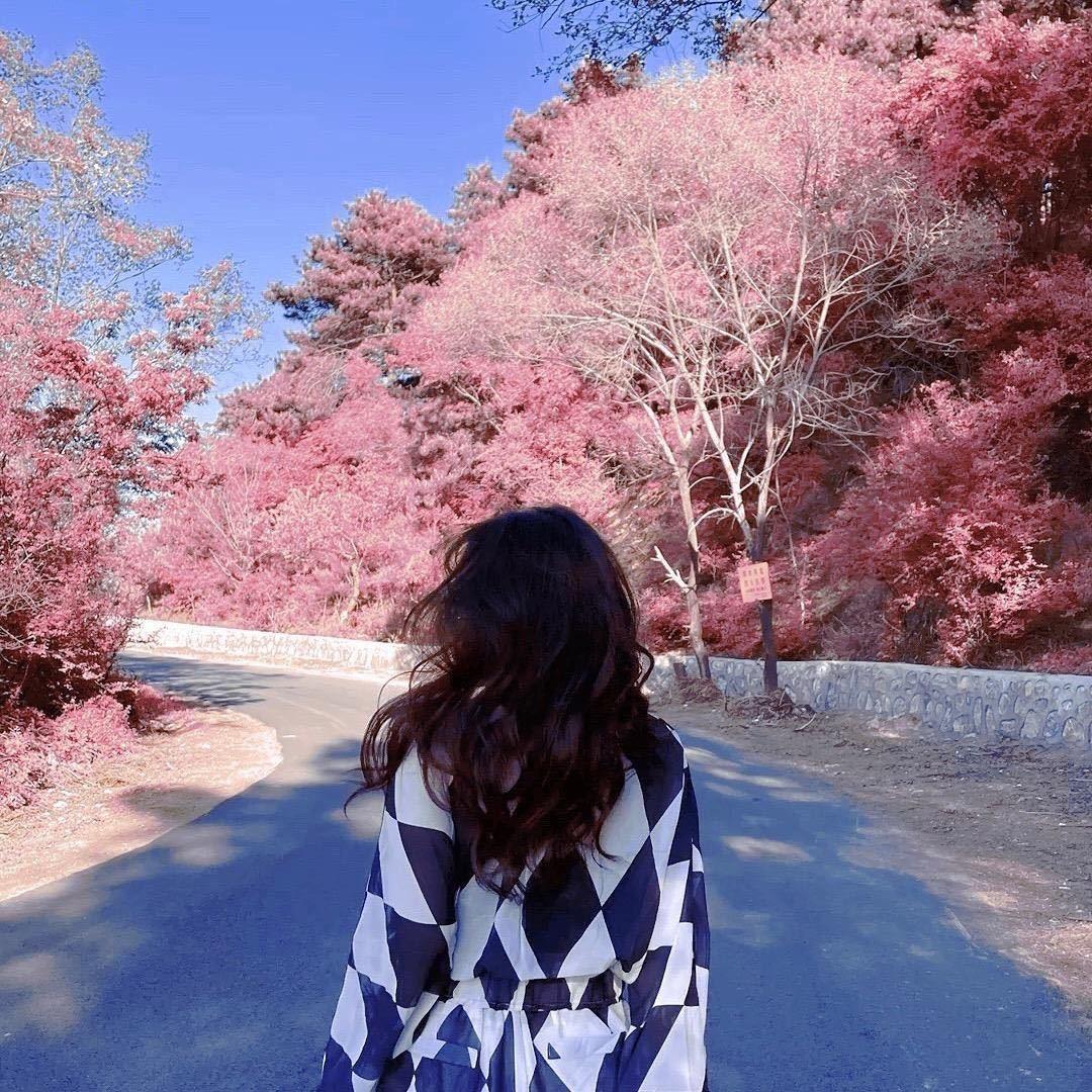 文文💕