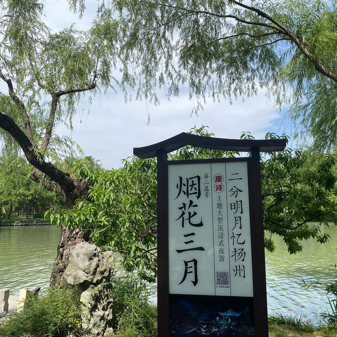 一个人生活