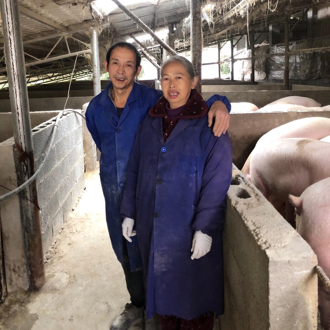 茂和养殖优选店