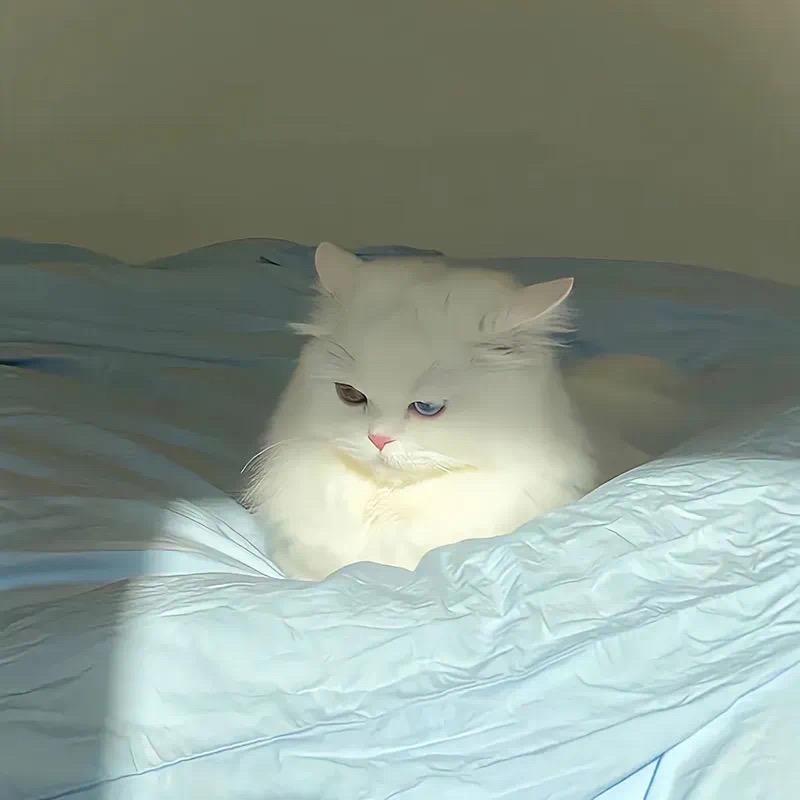 拾久～