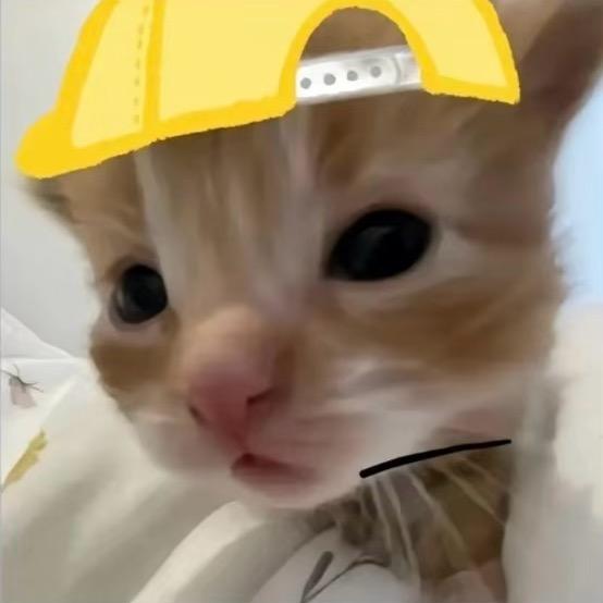 @小妈.z