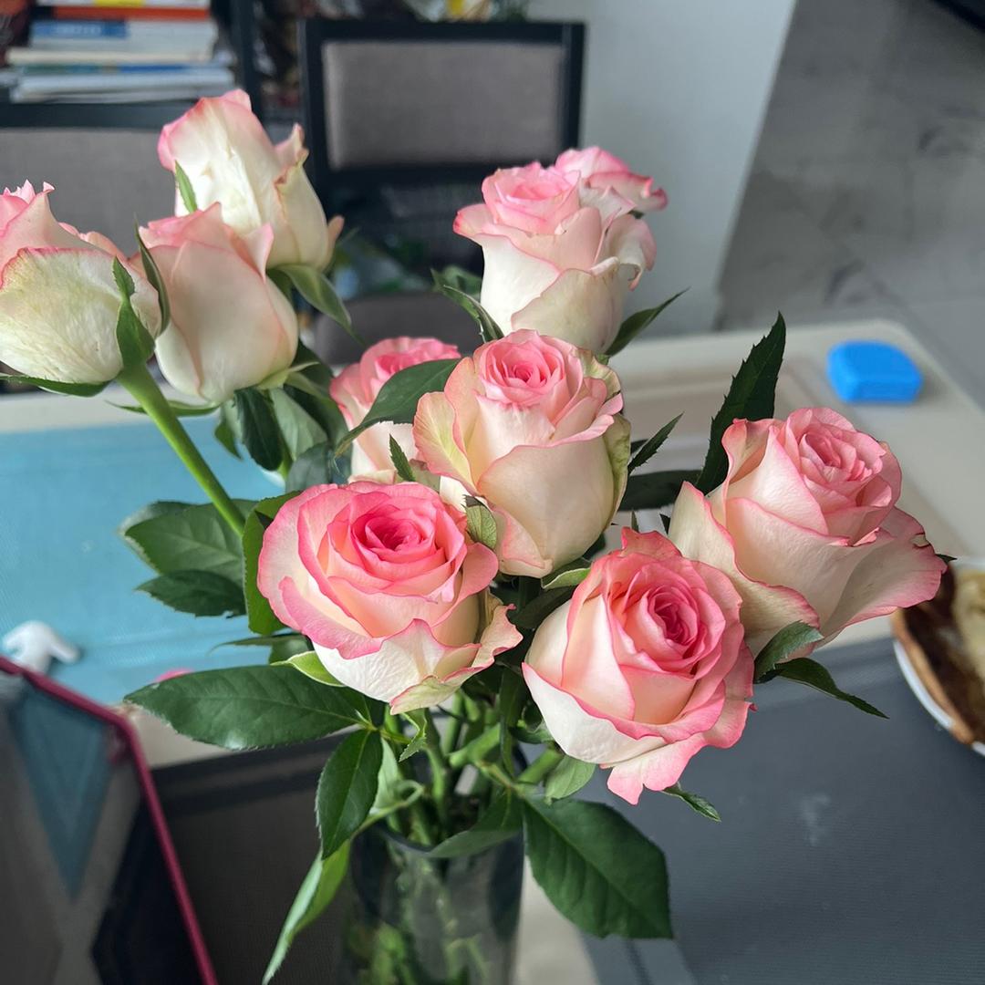 美丽西西西🥰