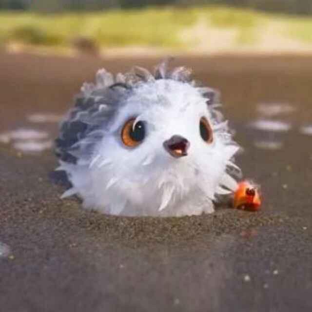 何金鑫