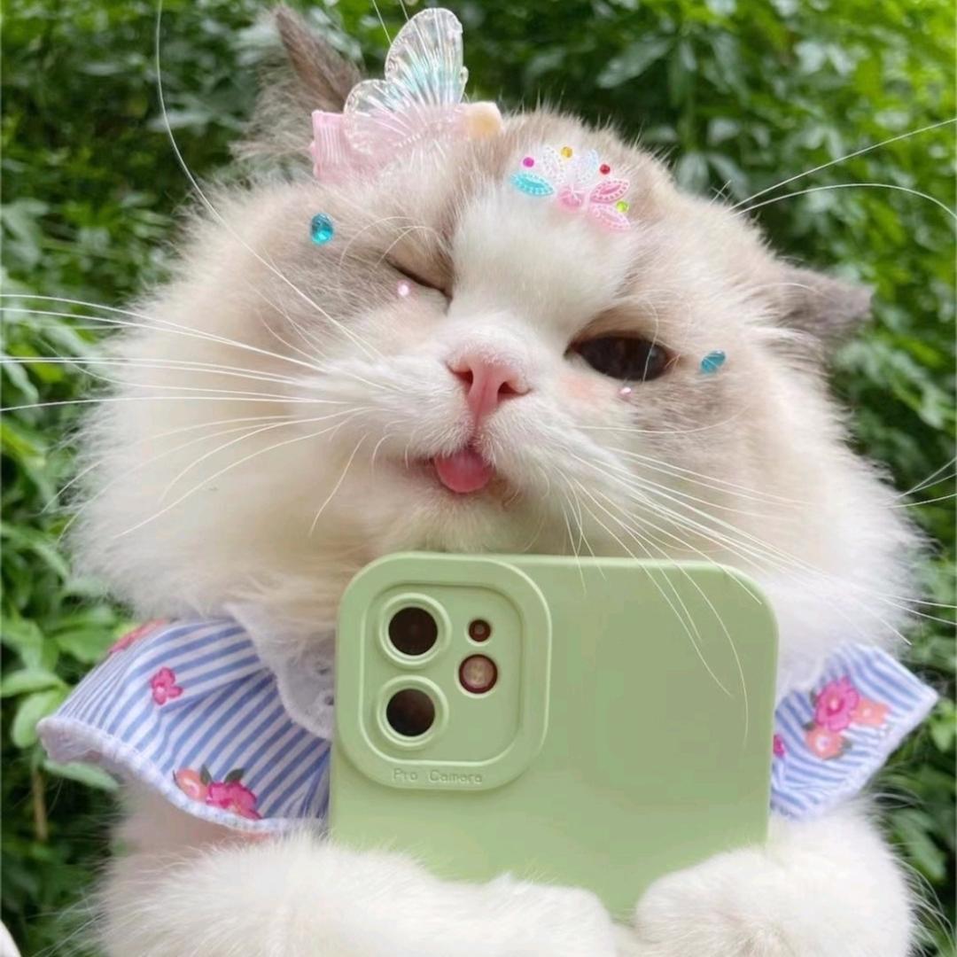 要抱