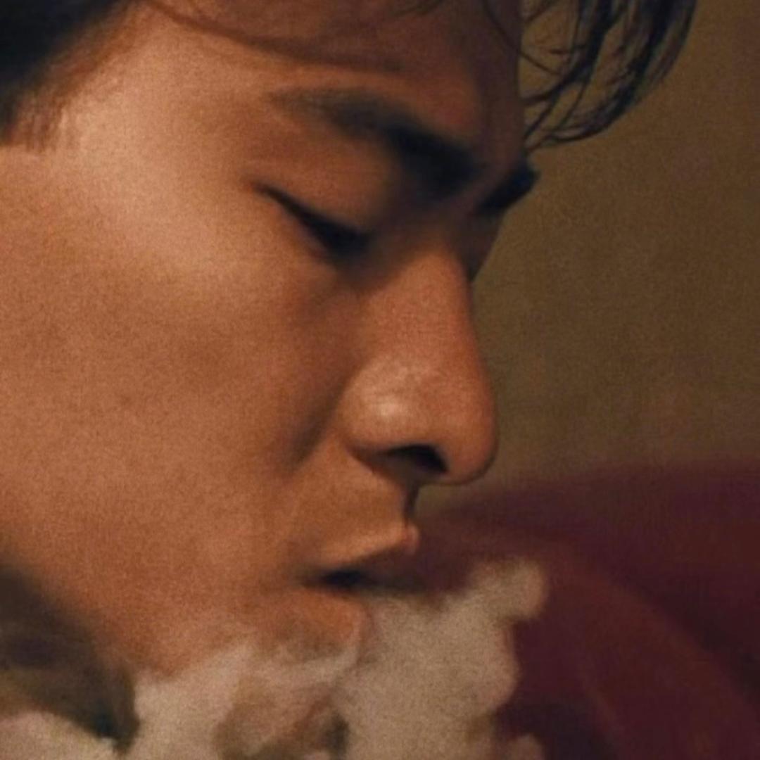 危险驾驶的小鹤