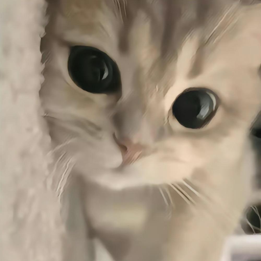 爱唱学猫叫.