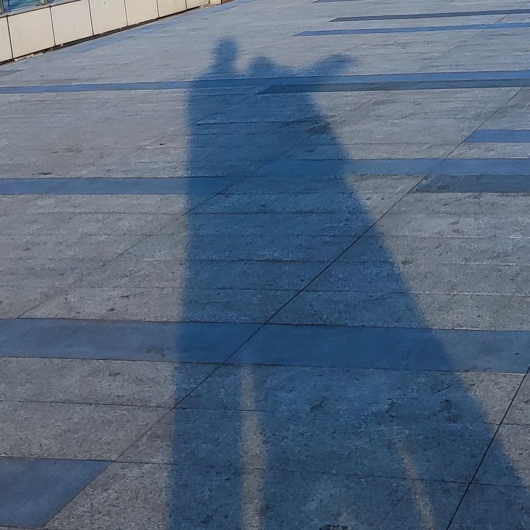 哈特软软