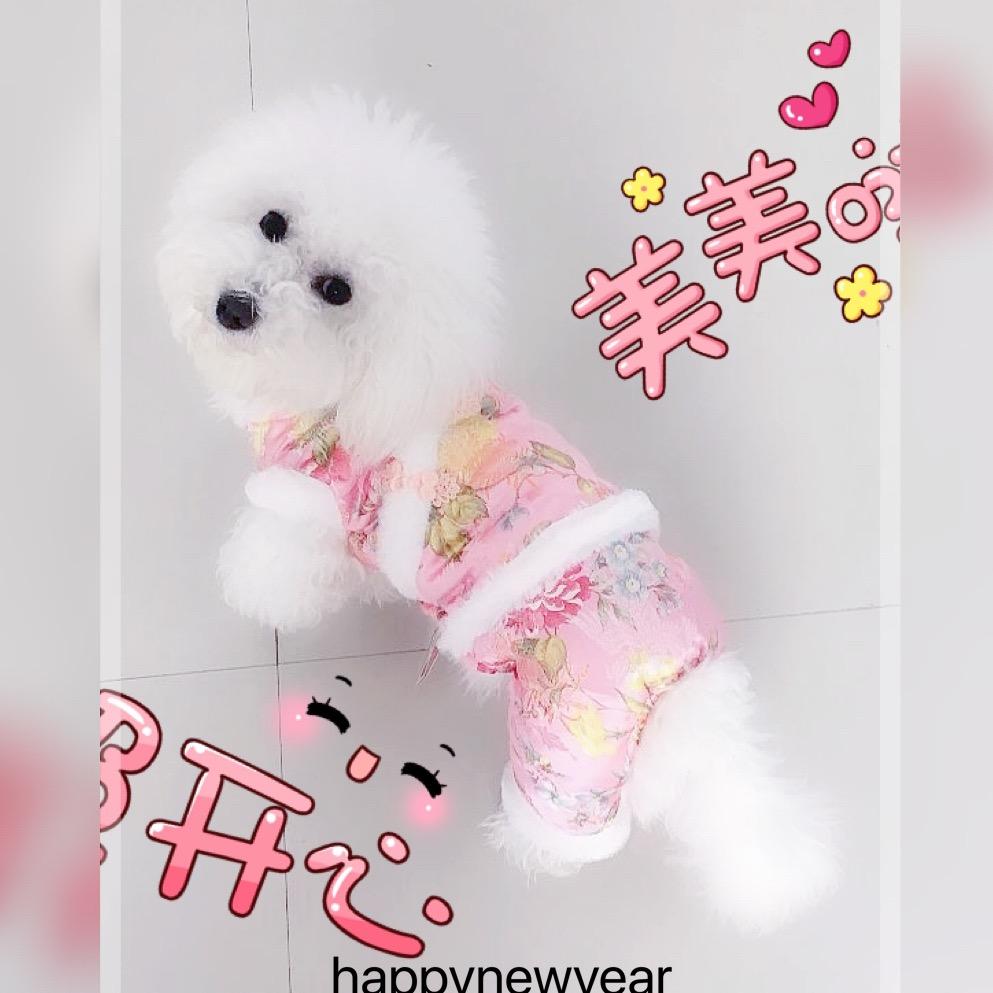 布丁的亲姐