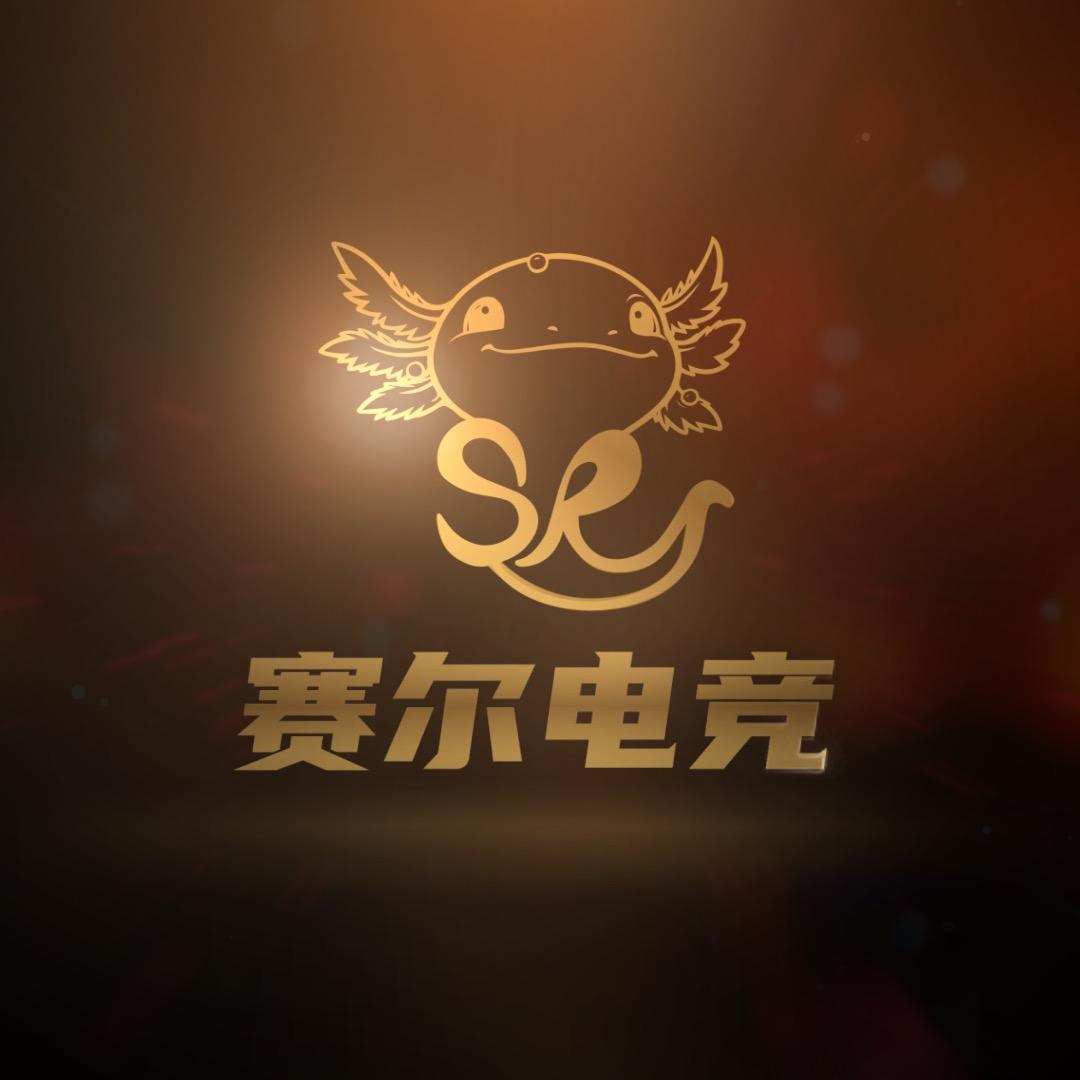 赛尔电竞（三角洲行动）