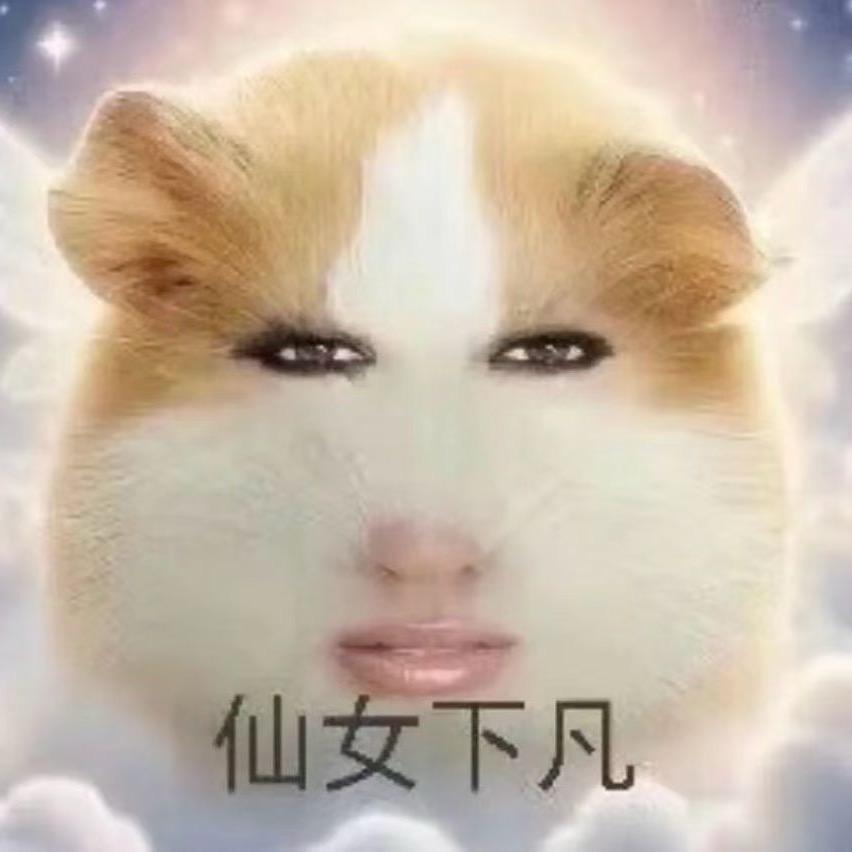 妖狗 （三角洲行动）