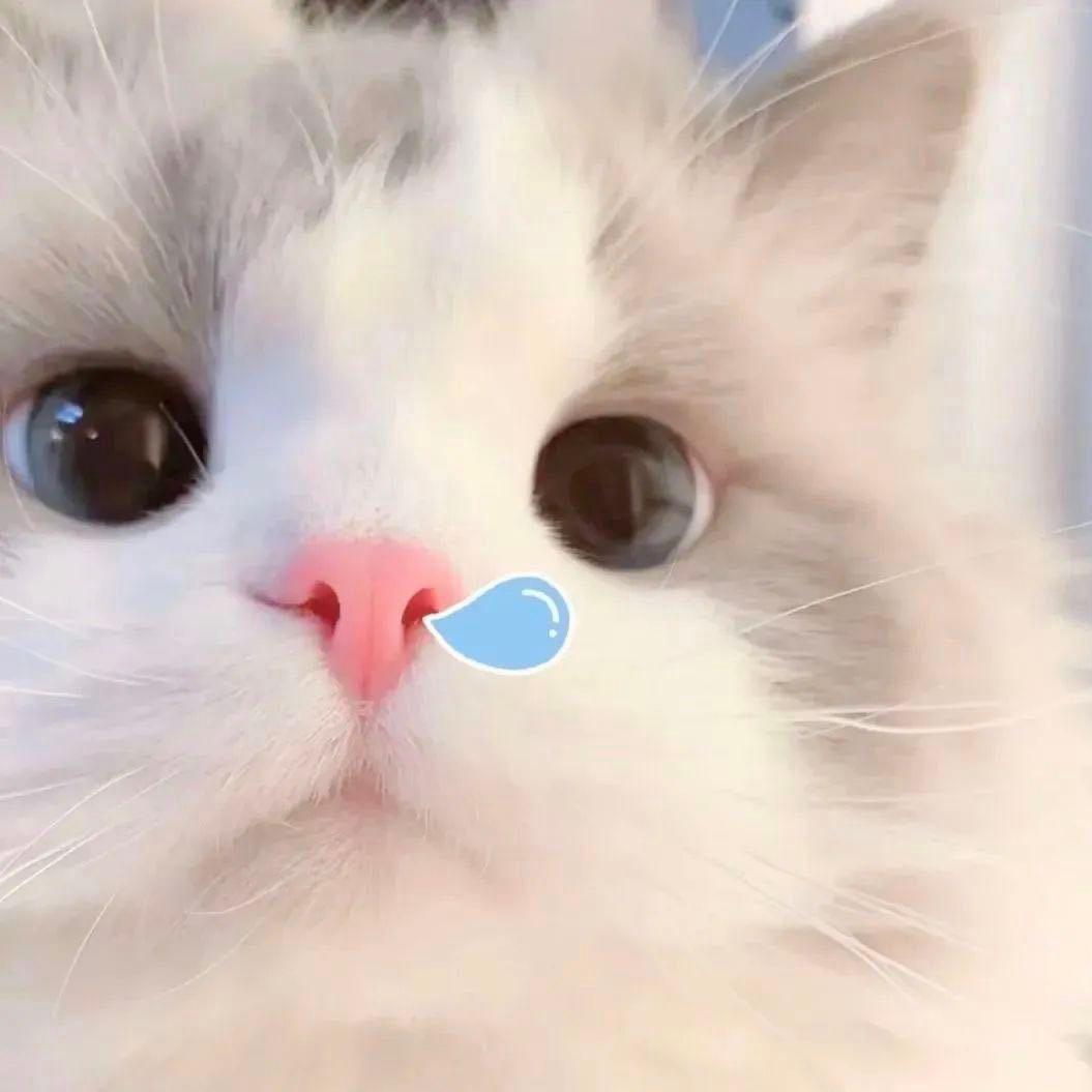 知