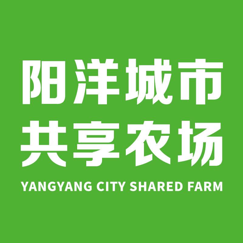 上海阳洋共享农场