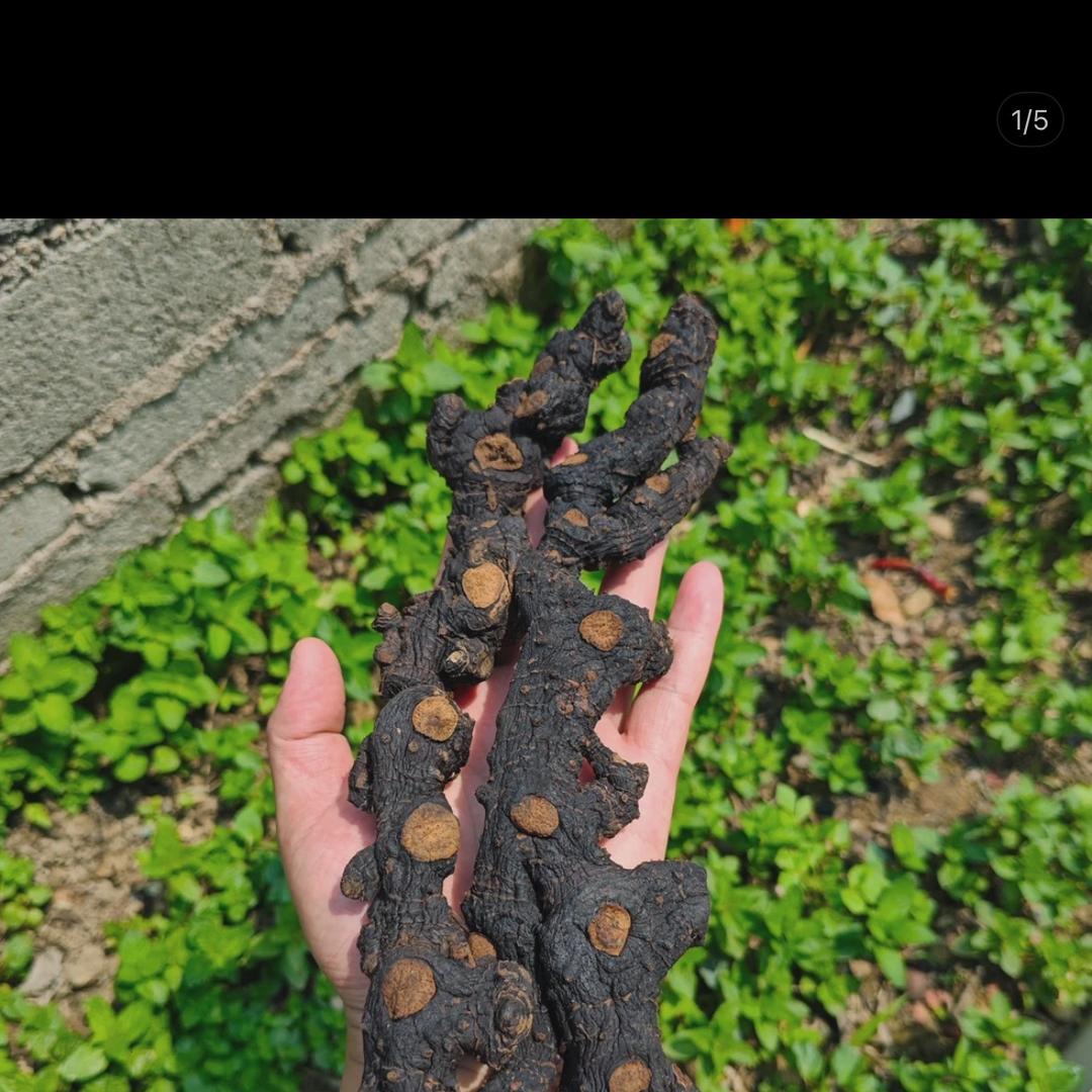 粤北农产品