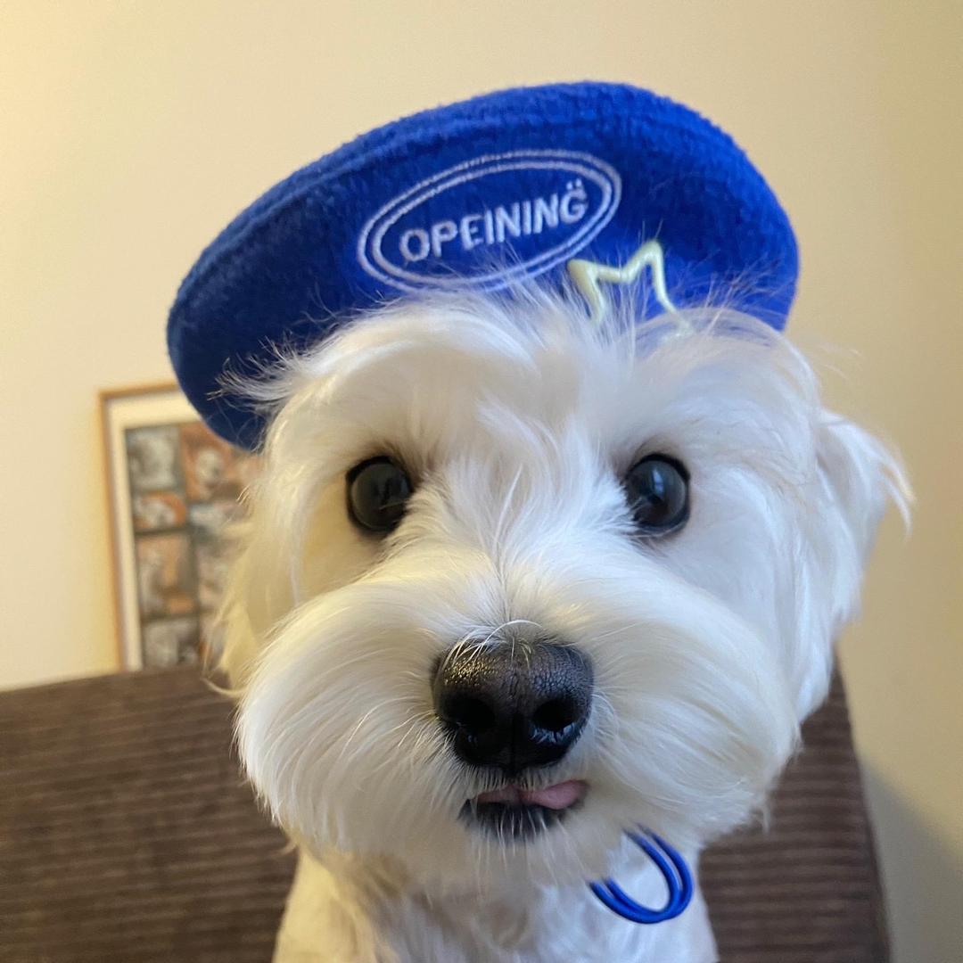 今天听半岛铁盒