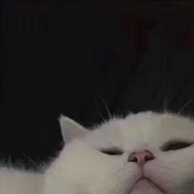 321😴