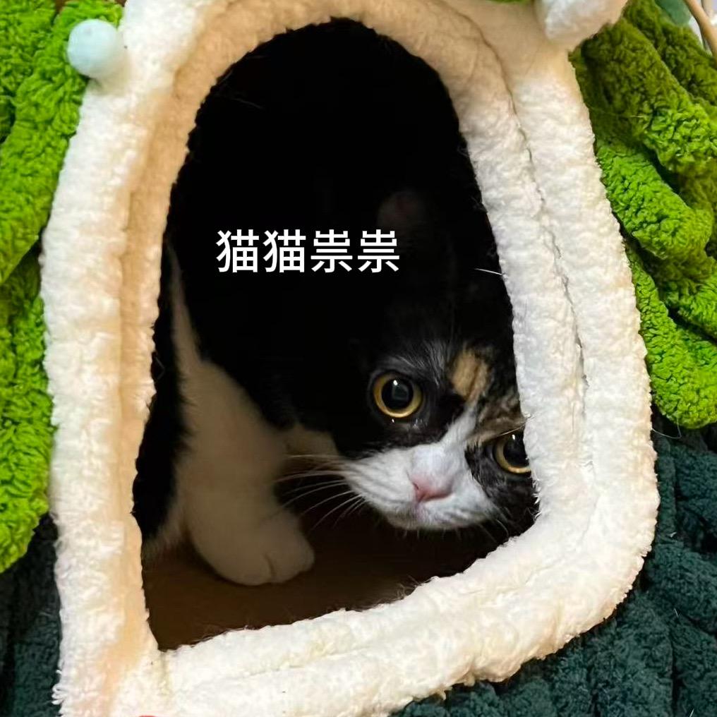 还没想好剪谁再等等我再想想