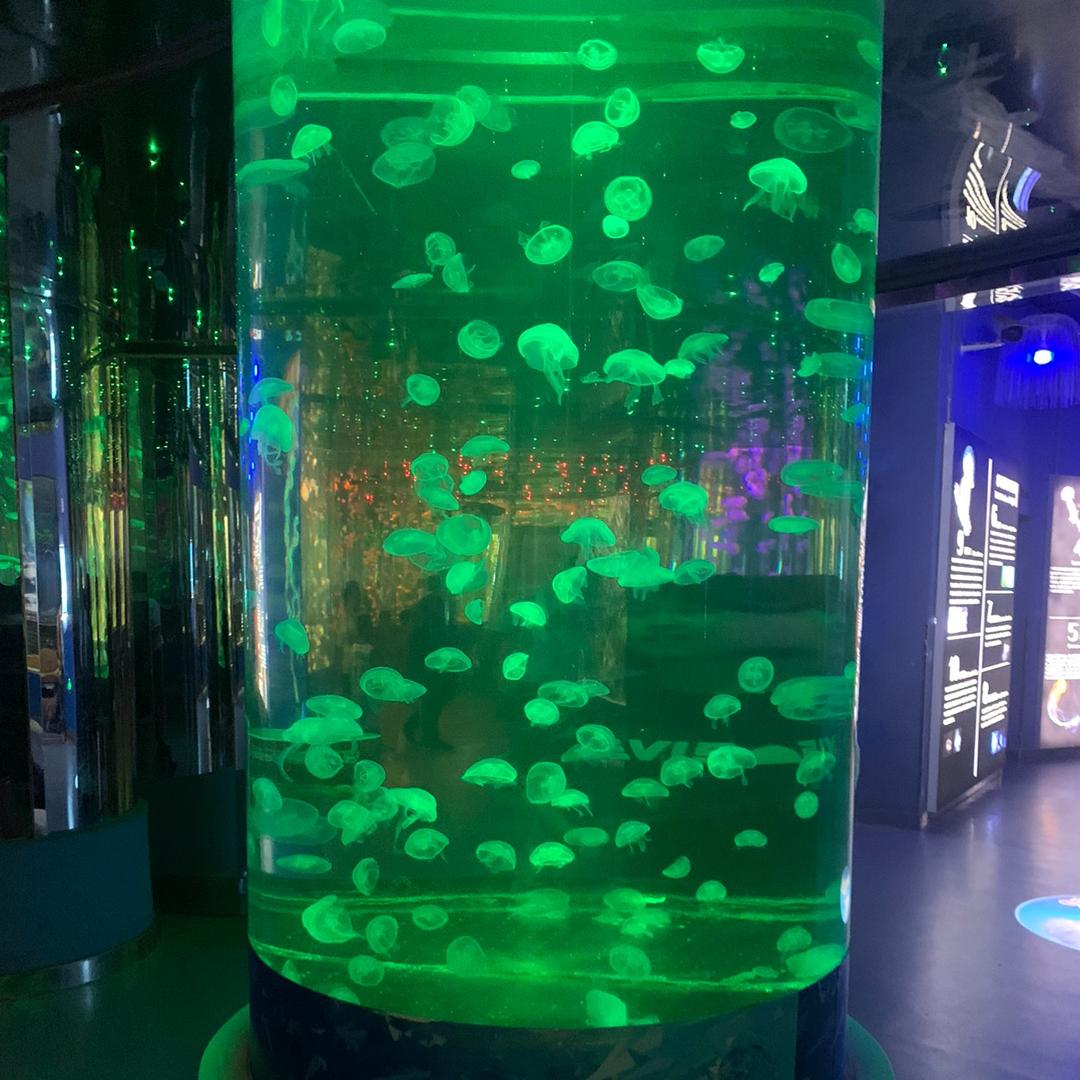用户1843731614918