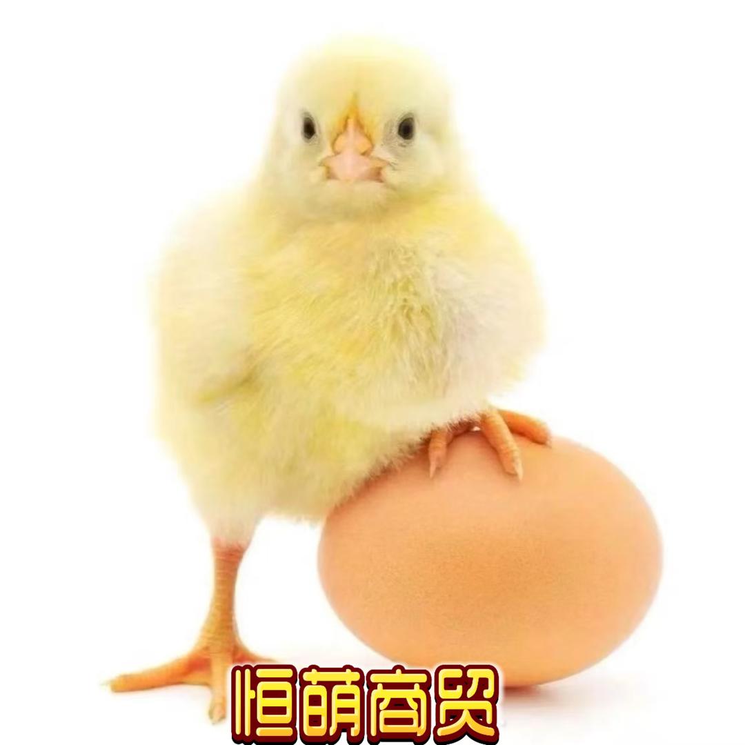 恒萌商贸优品工厂店