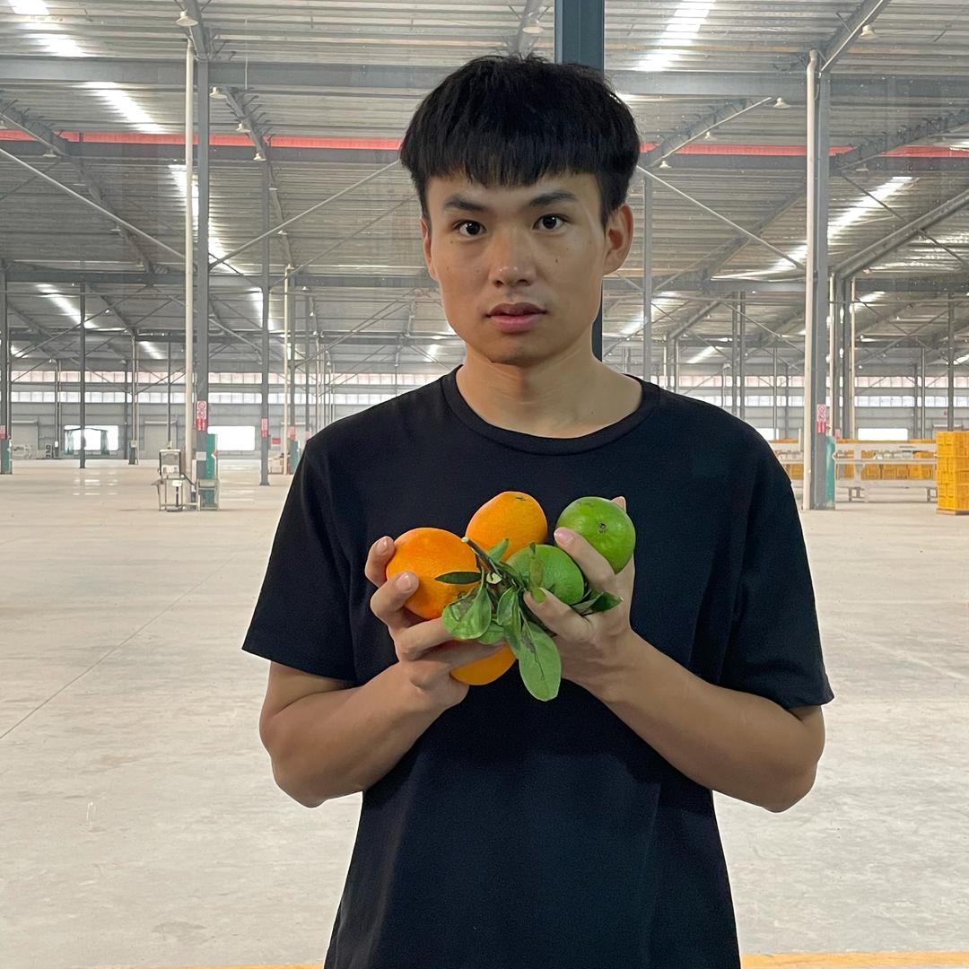 李张讲水果