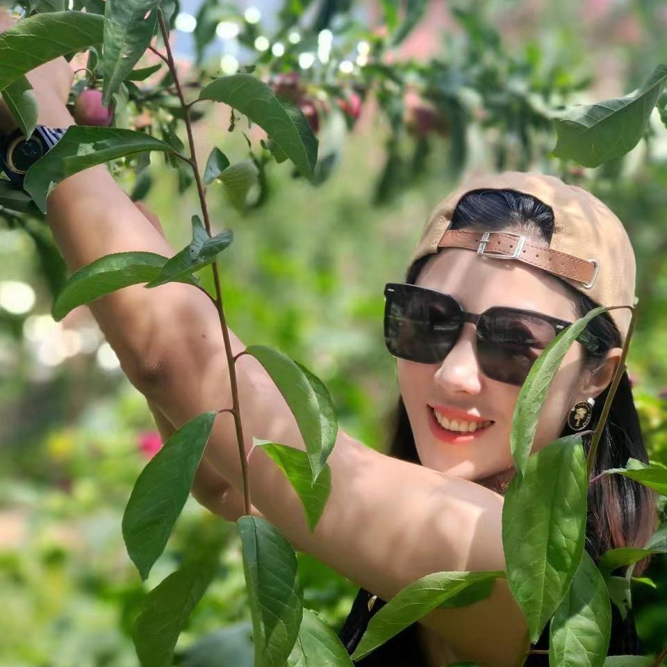 山贼想做状元☀️