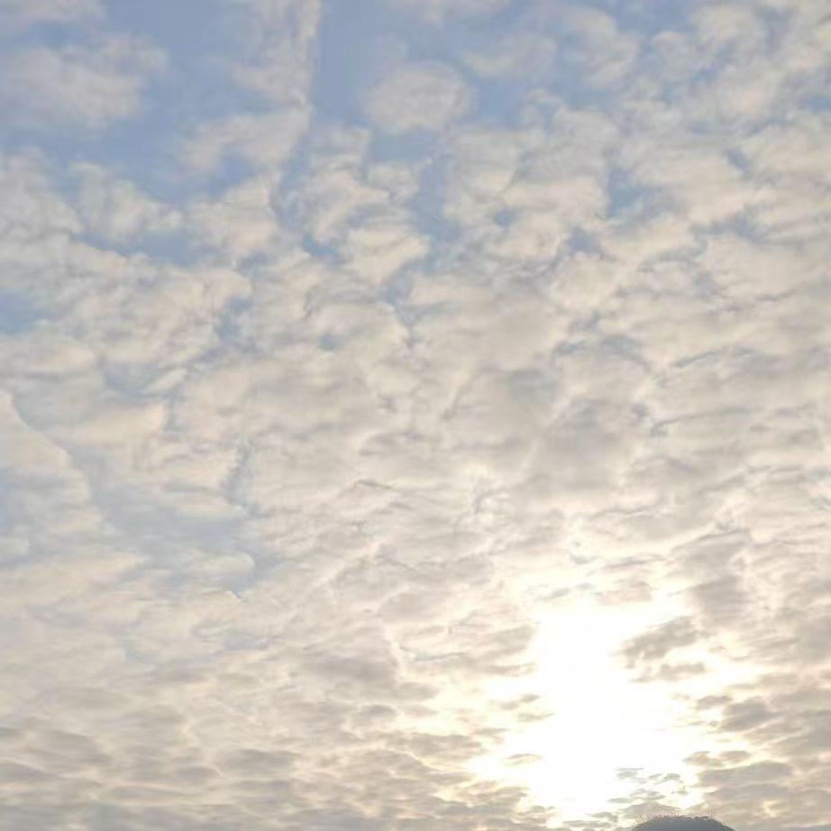 锦美家女装工厂店