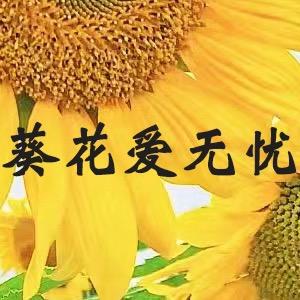 葵花爱无忧营养膳食旗舰店
