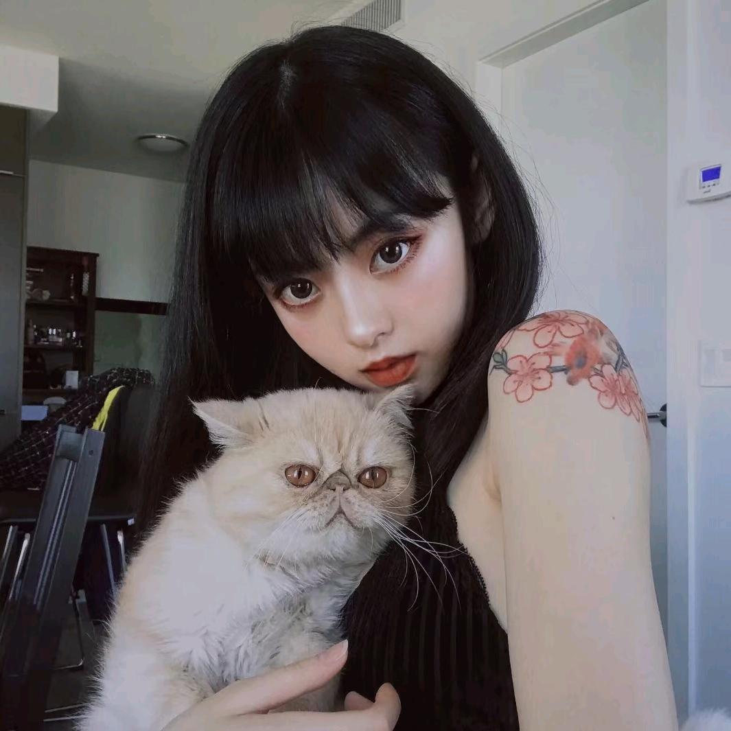 佳星的猫呢-