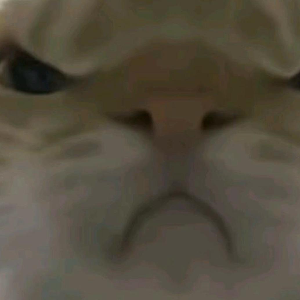 生气的鼠子（三角洲）