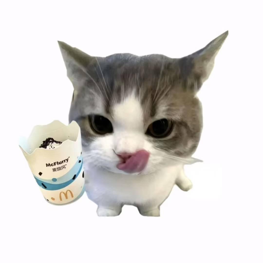 只只