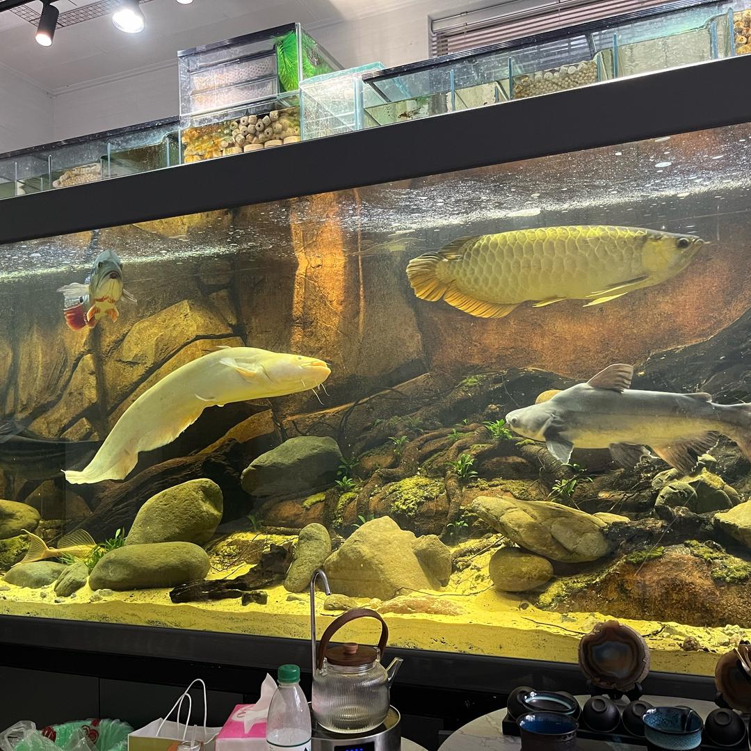 辰王（养鱼人）