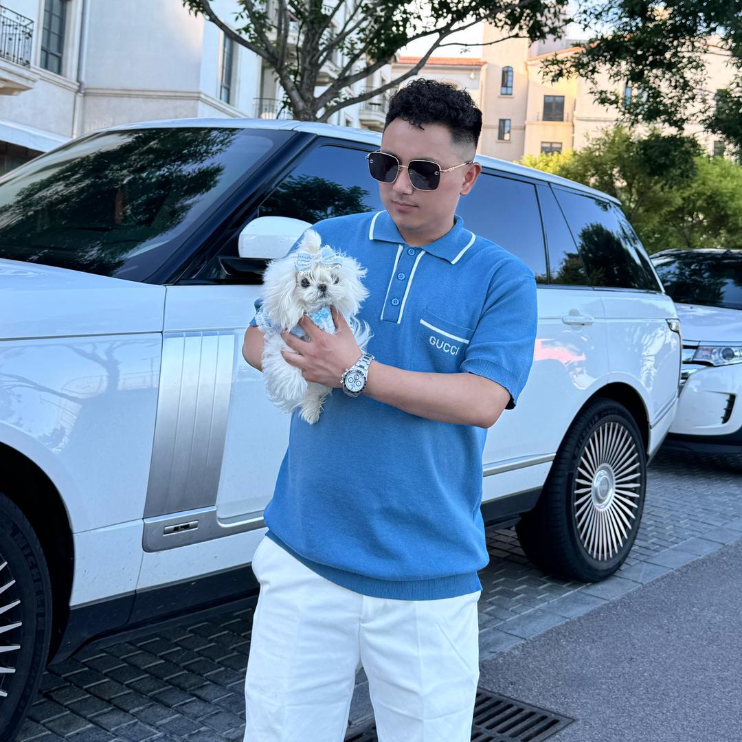 卷毛哥马尔济斯约克夏犬舍