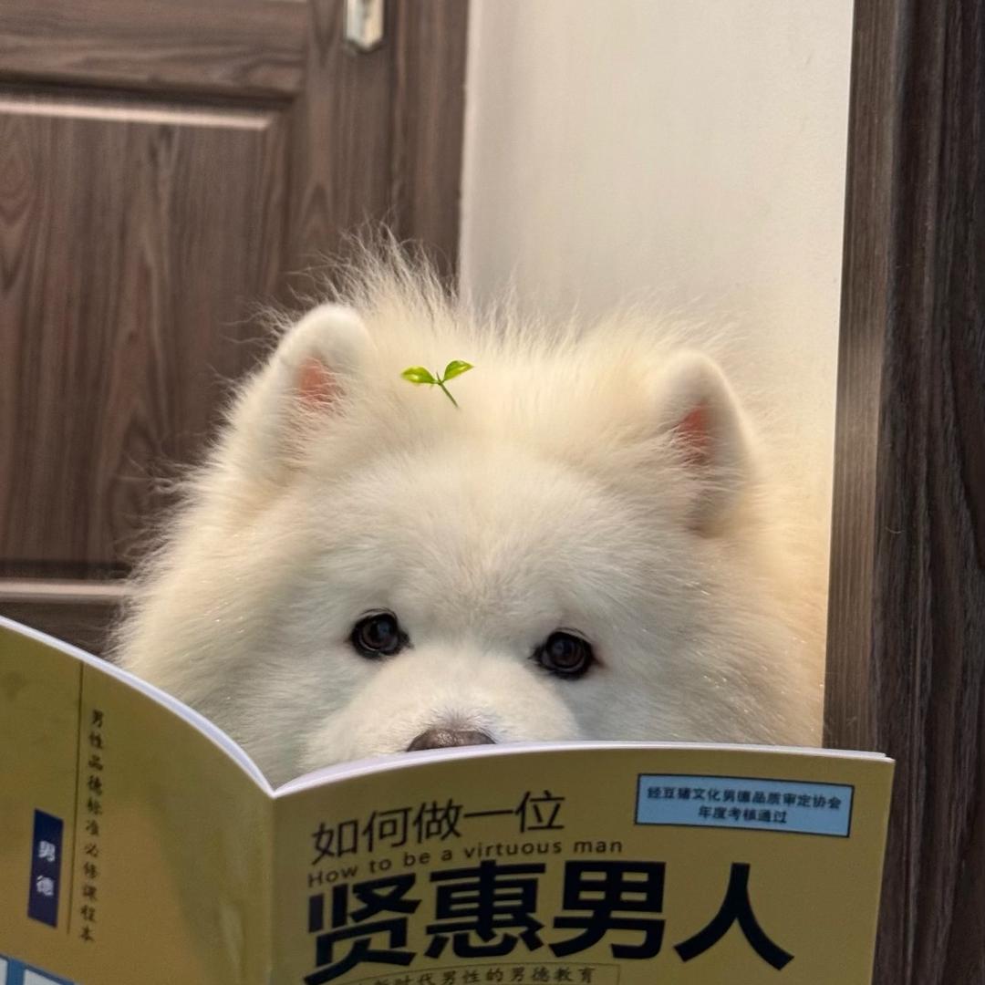 我爱吃喜糖