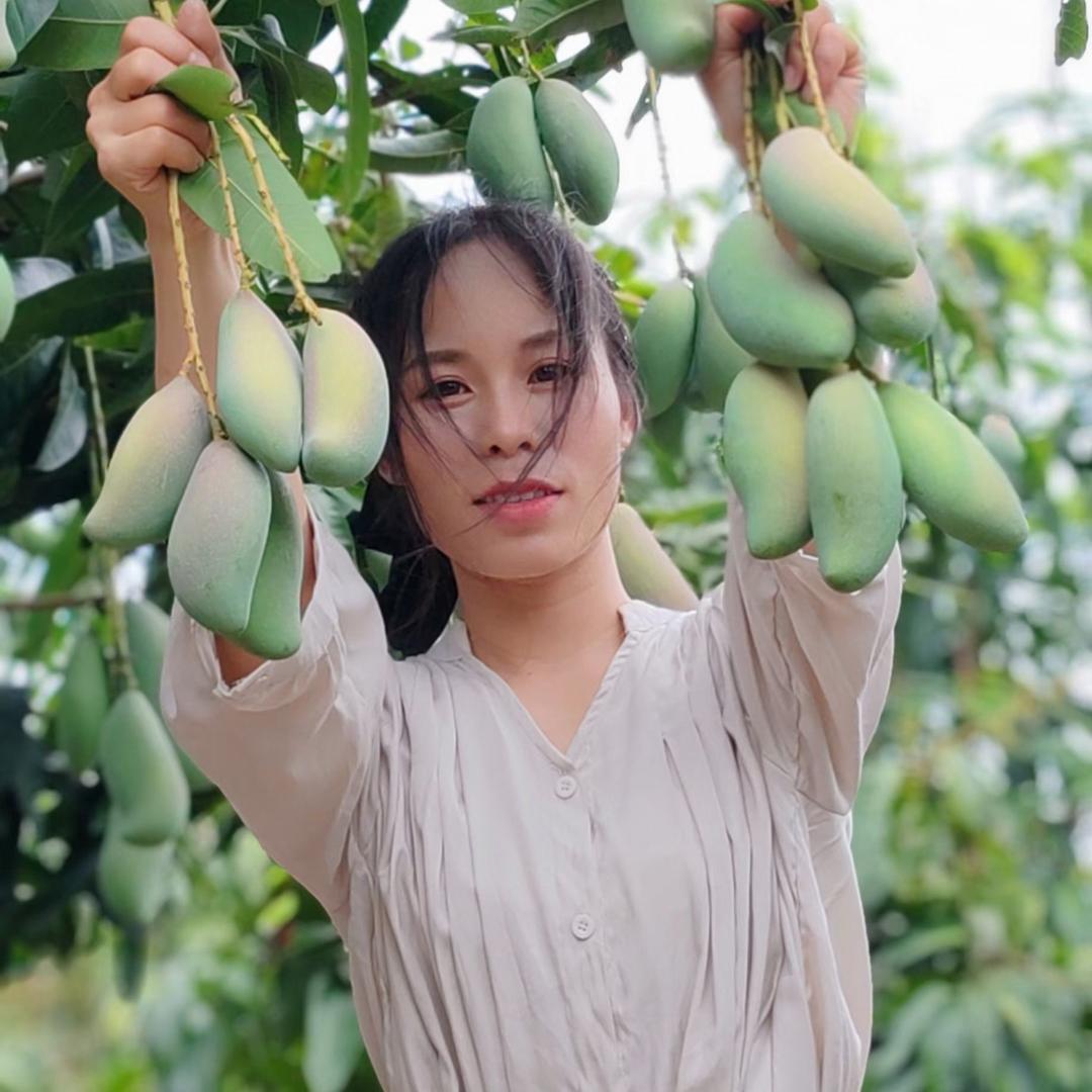 广西好风光农场
