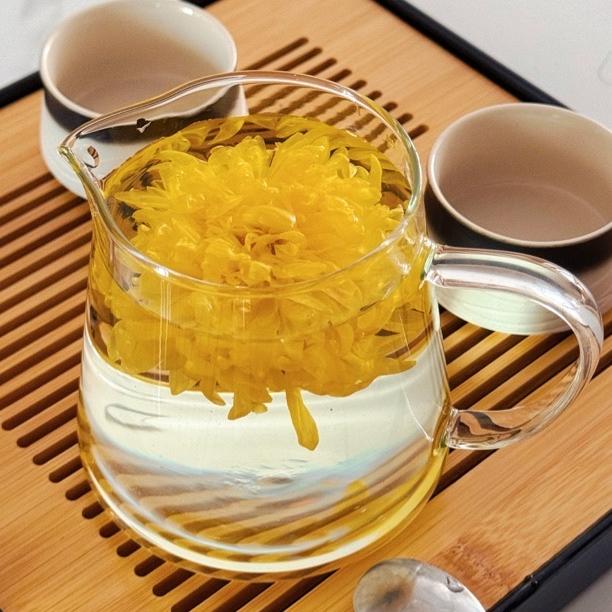 菊之源1号