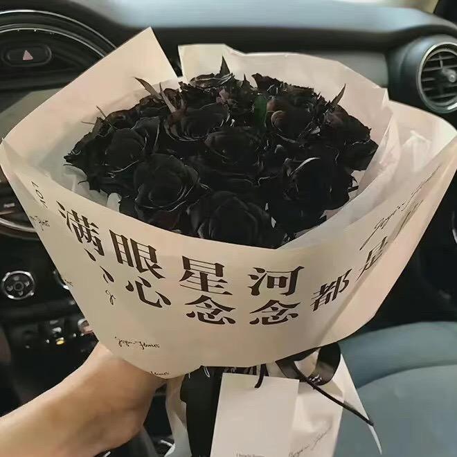 星河好物推荐