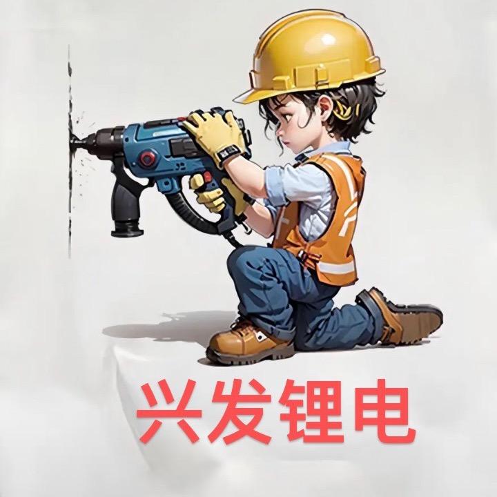 专业定制高端电动工具电池