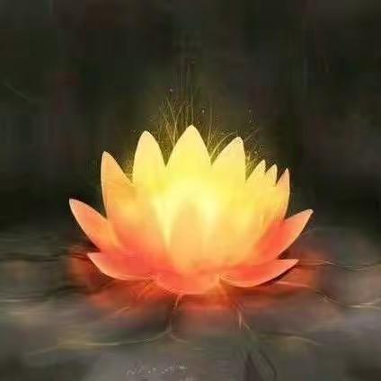 平凡的世界♨️