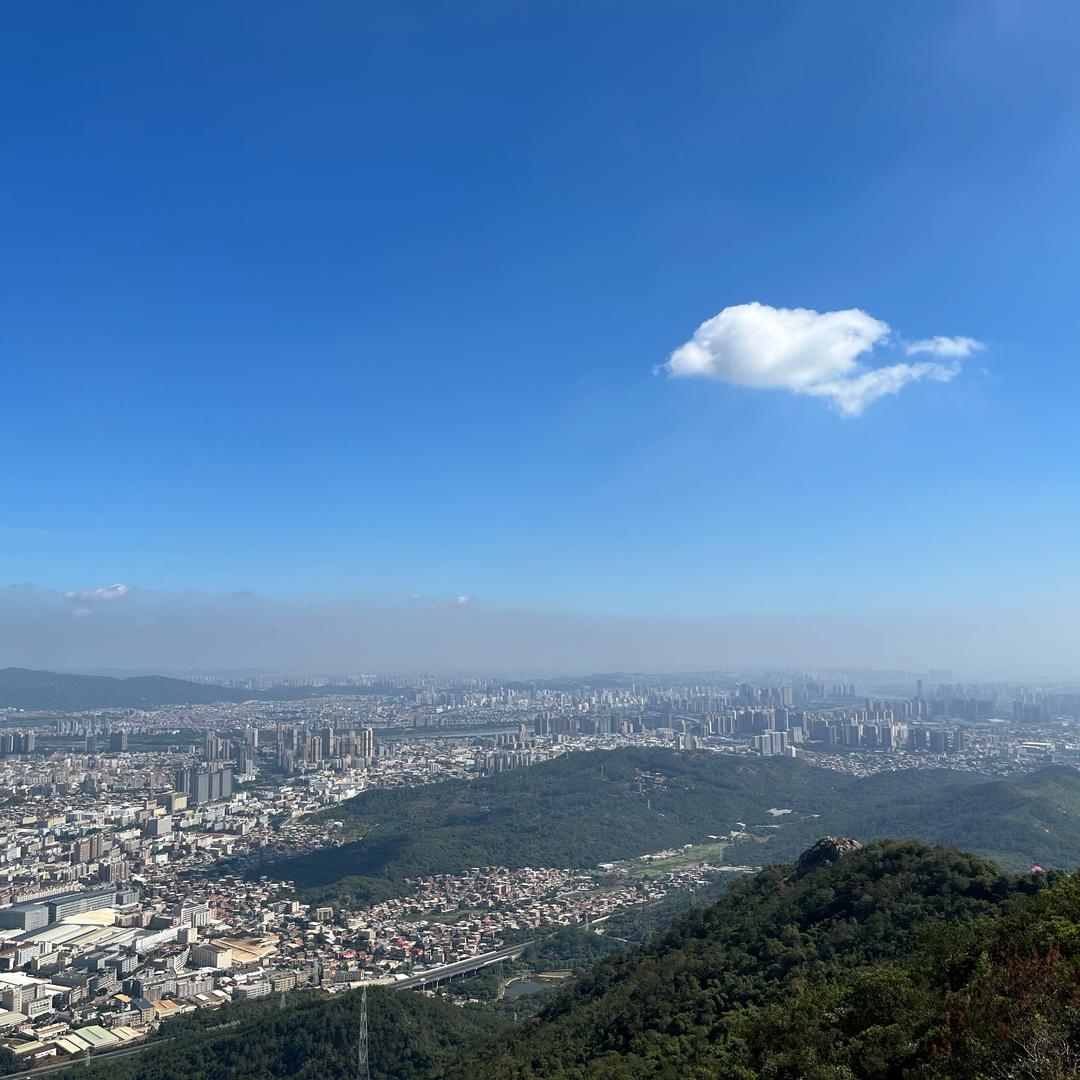 搞定制的刘