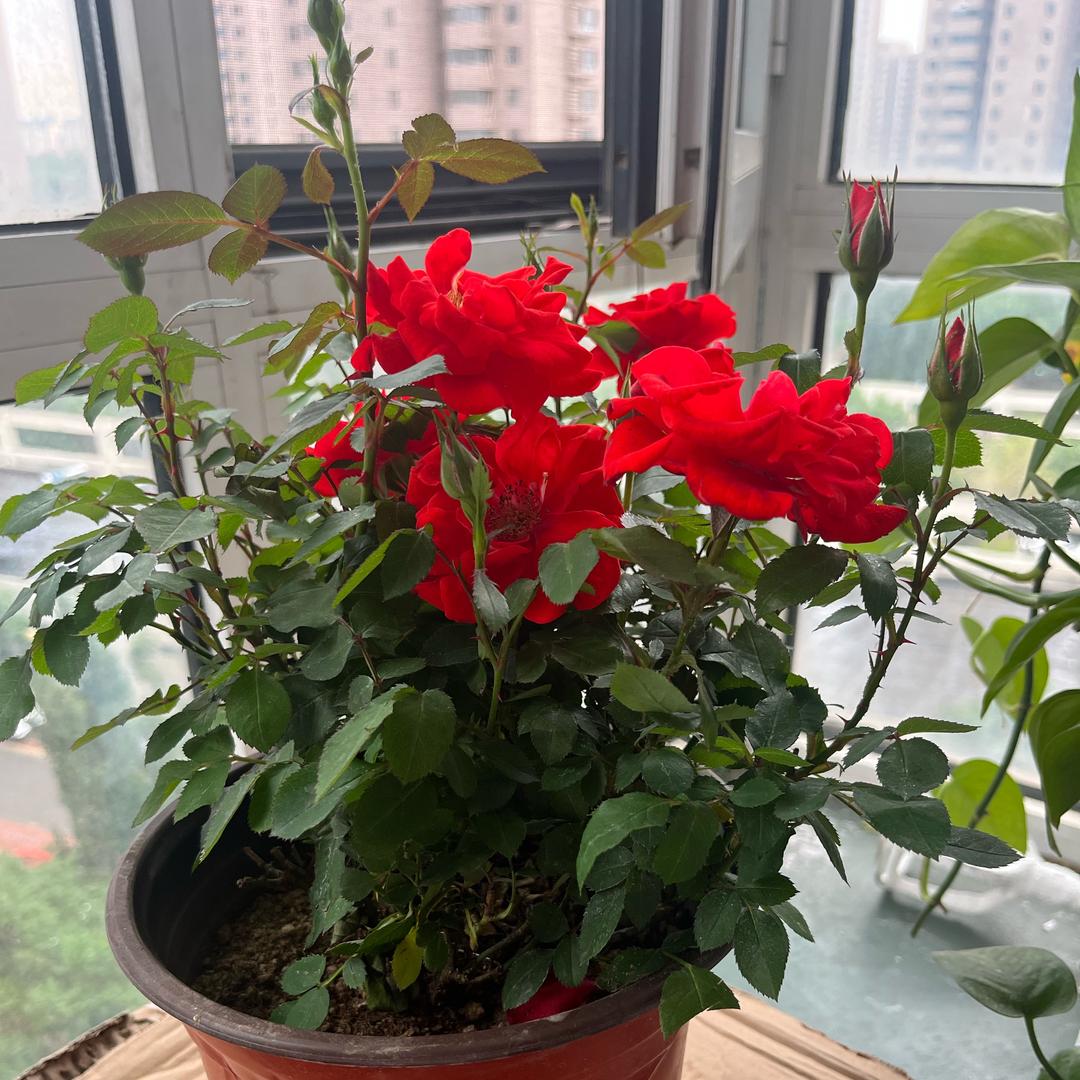 ❤️余生随您❤️